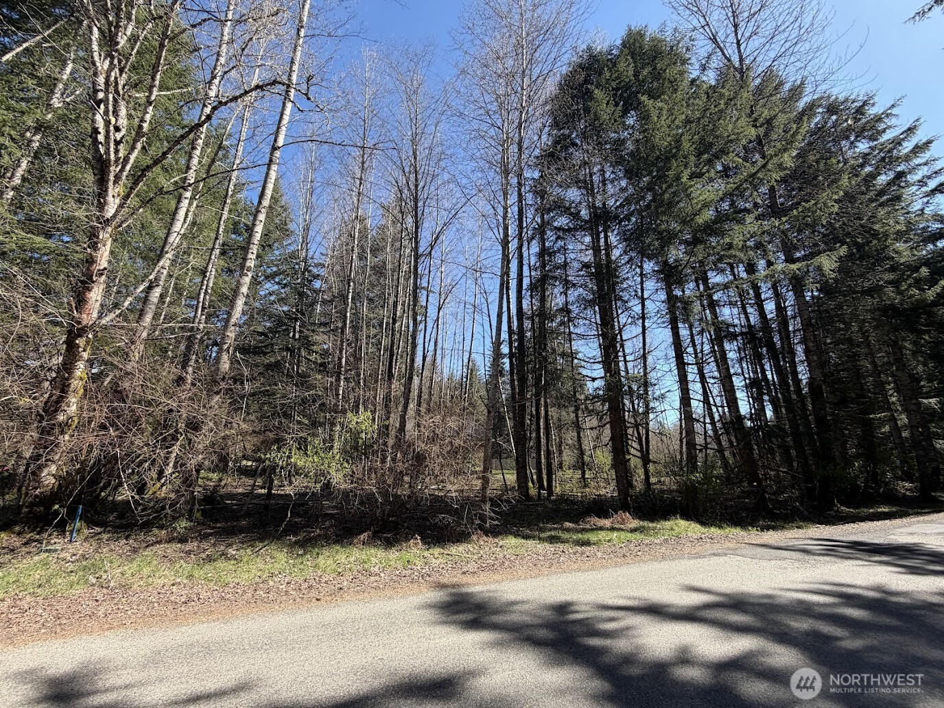 181 Nisqually Way , Ashford, WA 98304