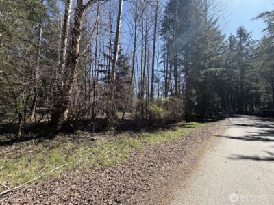 181 Nisqually Way , Ashford, WA 98304 - Photo 8