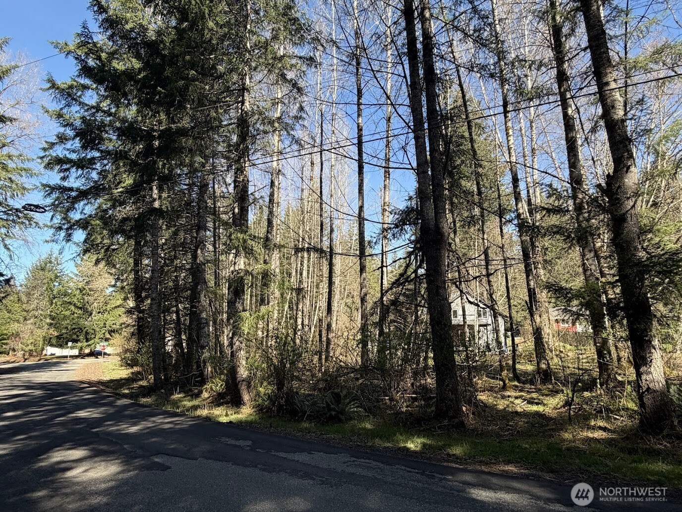 181 Nisqually Way , Ashford, WA 98304