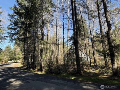 181 Nisqually Way , Ashford, WA 98304 - Photo 9