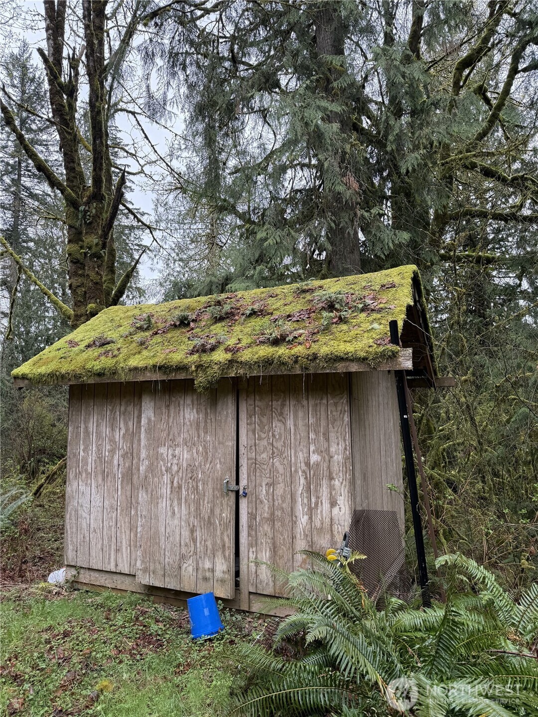 19150 312th Avenue NE, Duvall, WA 98019