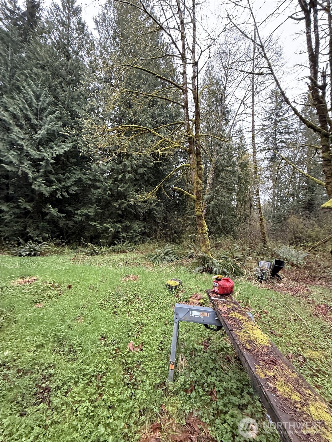 19150 312th Avenue NE, Duvall, WA 98019