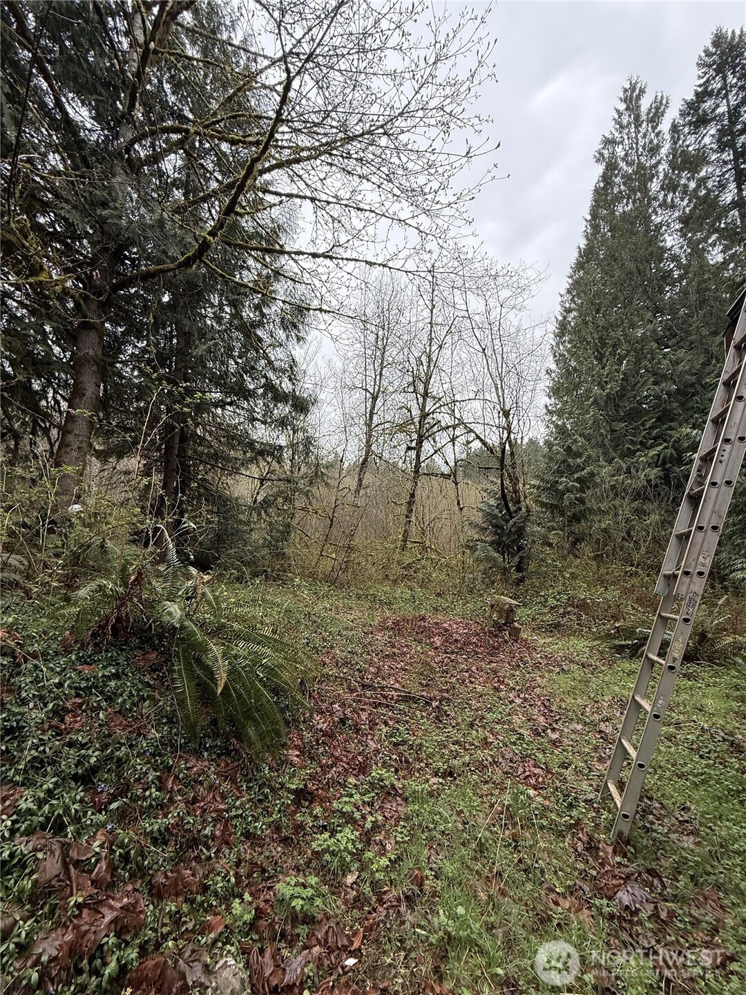 19150 312th Avenue NE, Duvall, WA 98019