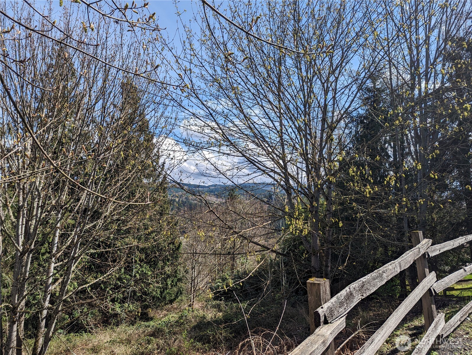 23105 165th Avenue E, Graham, WA 98338
