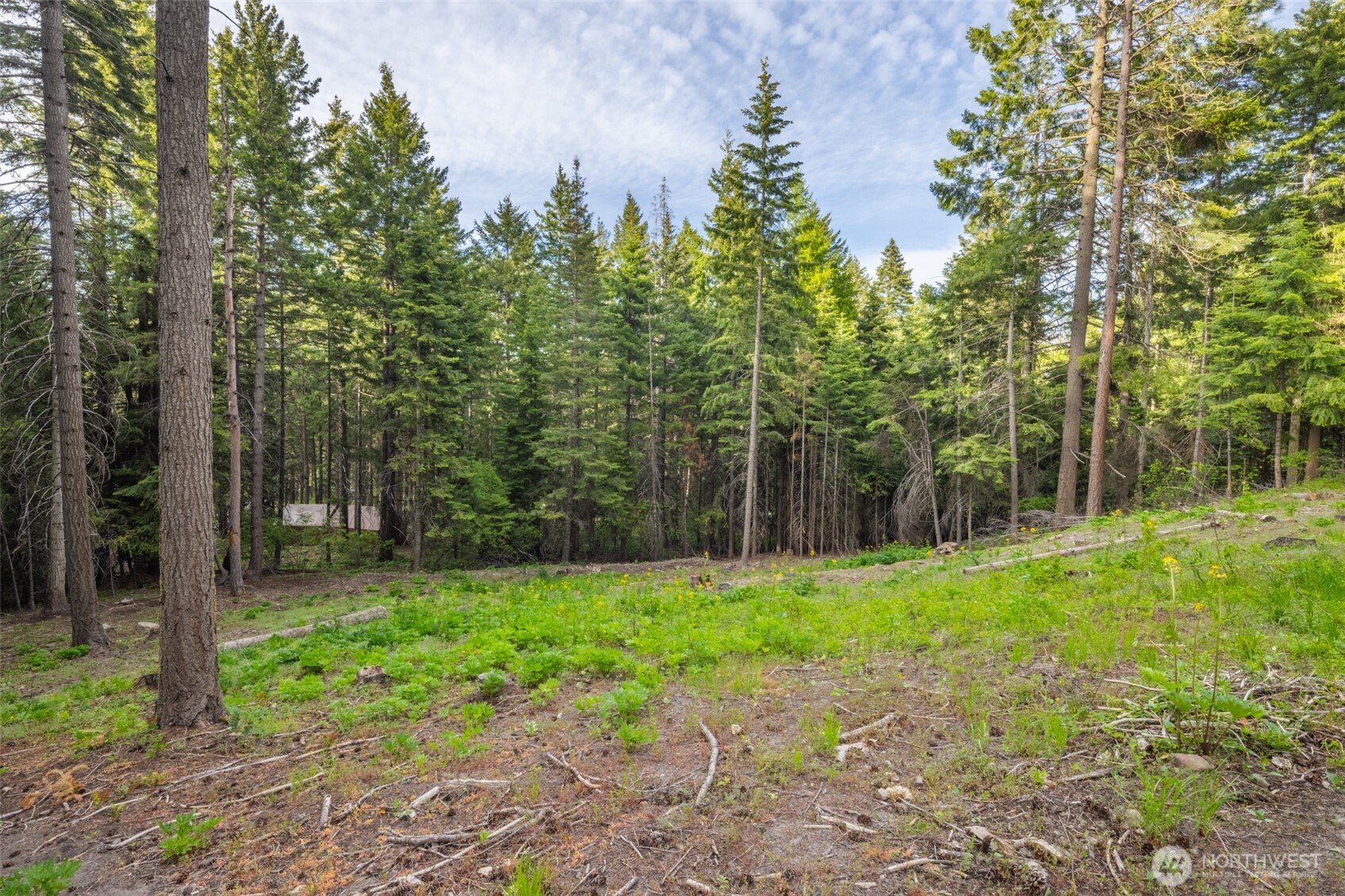 451 Aspen Springs Road , Cle Elum, WA 98922