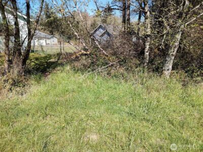 374 Mt Olympus Avenue SE, Ocean Shores, WA 98569 - Photo 1