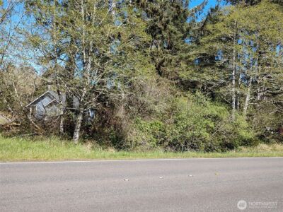 374 Mt Olympus Avenue SE, Ocean Shores, WA 98569 - Photo 3