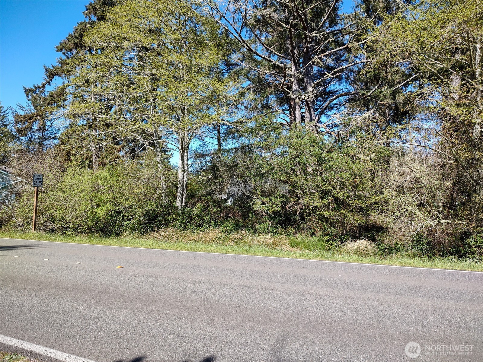 374 Mt Olympus Avenue SE, Ocean Shores, WA 98569