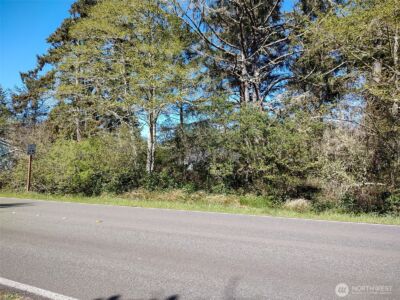 374 Mt Olympus Avenue SE, Ocean Shores, WA 98569 - Photo 4