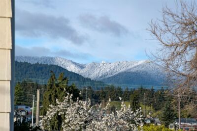 1117 E 4th Street , Port Angeles, WA 98362 - Photo 39