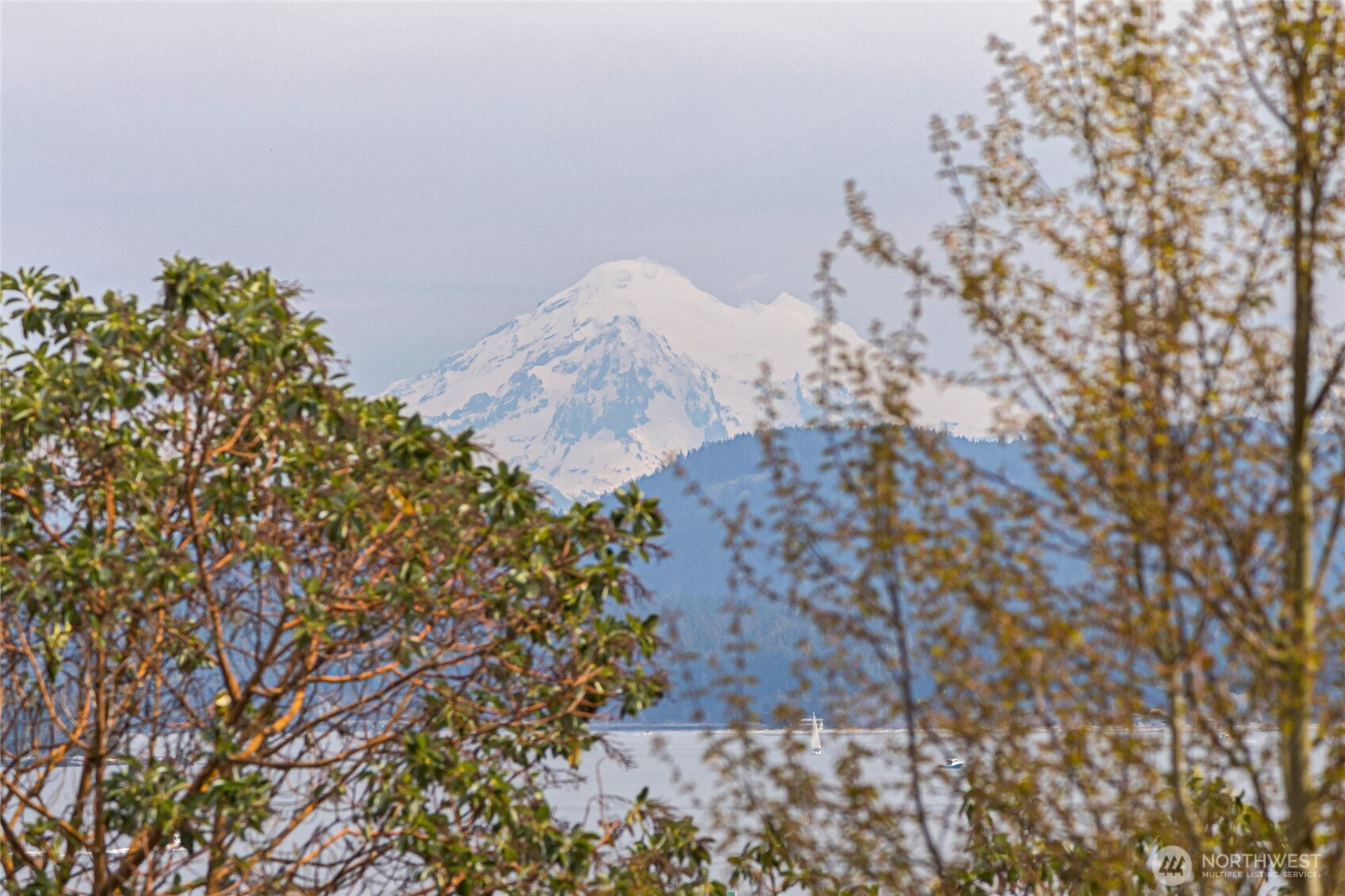 625 Harrison Street #A, Friday Harbor, WA 98250