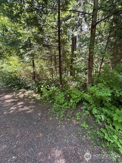 0 SE Somers Drive , Shelton, WA 98584