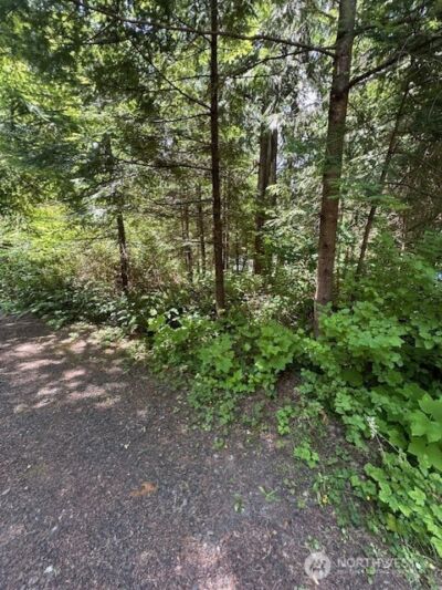 0 SE Somers Drive , Shelton, WA 98584 - Photo 5