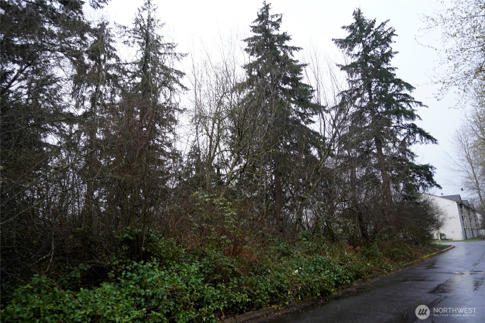 803 112th Street E, Tacoma, WA 98445
