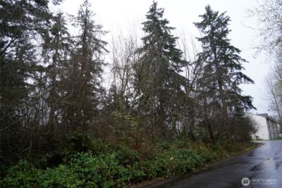 803 112th Street E, Tacoma, WA 98445 - Photo 3