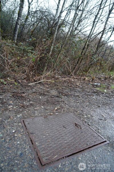 803 112th Street E, Tacoma, WA 98445 - Photo 7