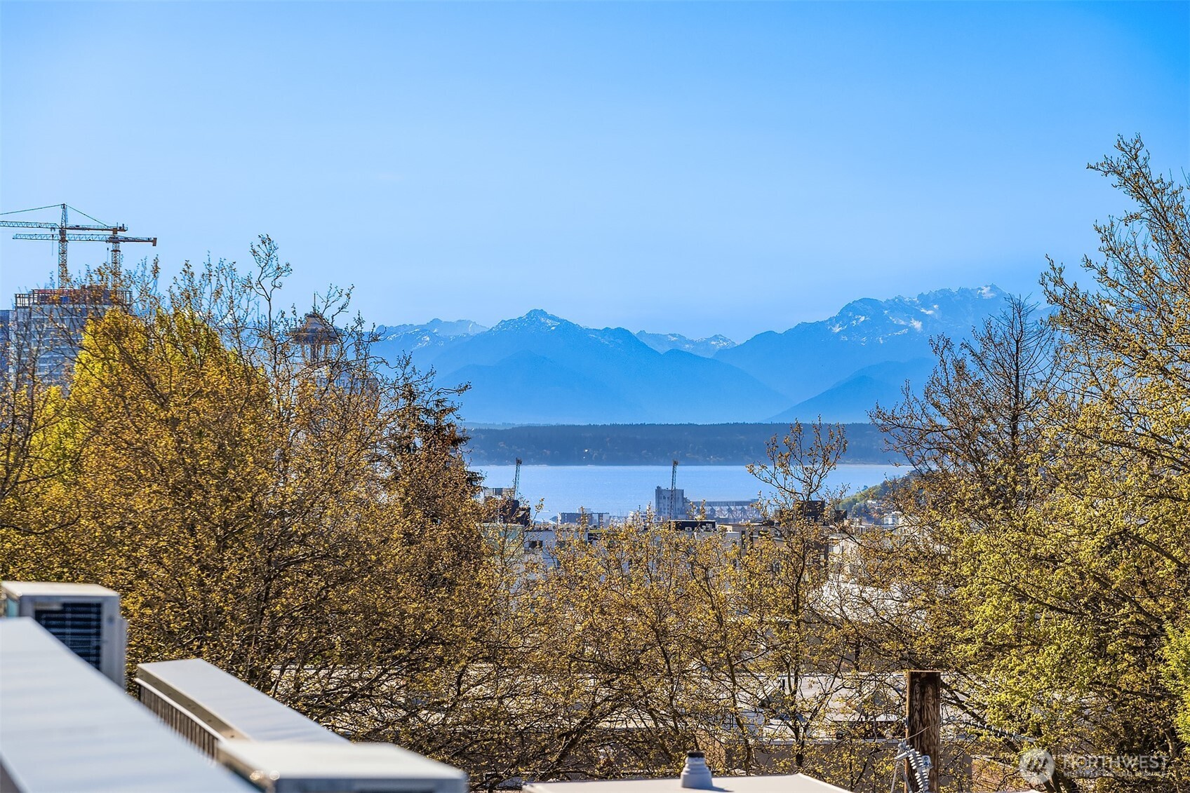 1713 17th Avenue , Seattle, WA 98122