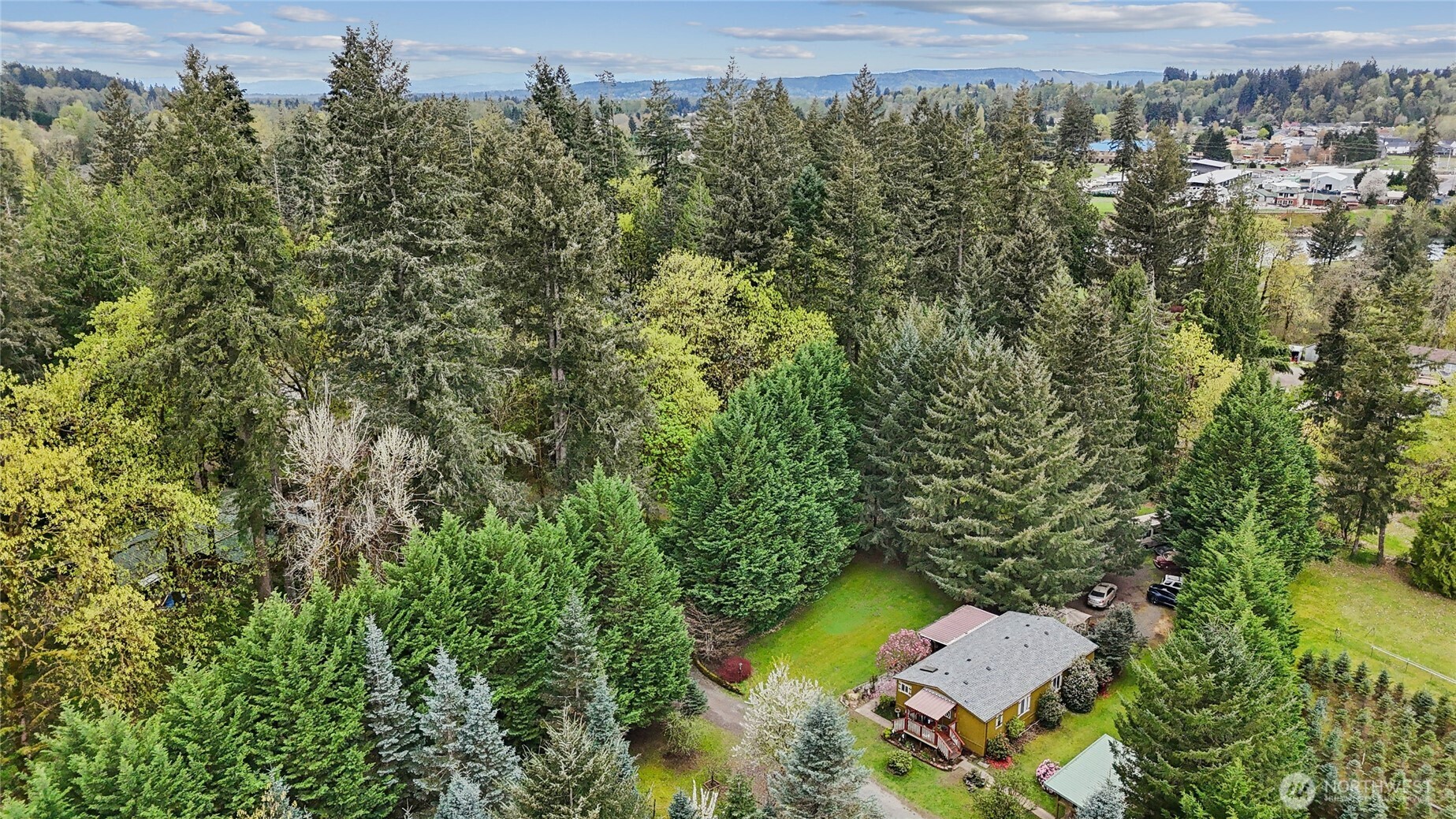 4116 NW Fir Tree Drive , Woodland, WA 98674-2237