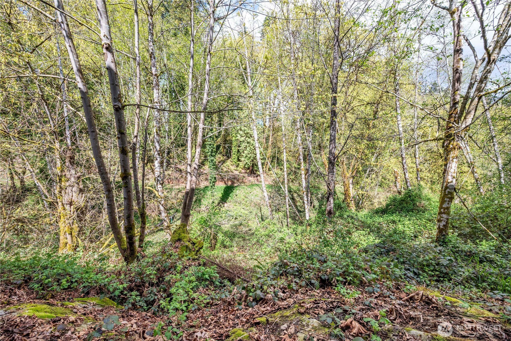 148 W Canyon View Drive , Longview, WA 98632