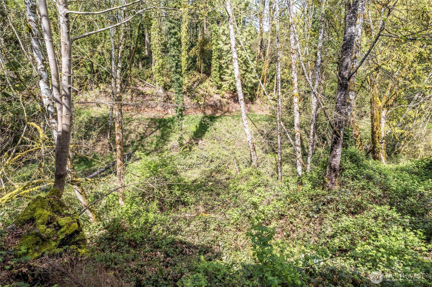 148 W Canyon View Drive , Longview, WA 98632
