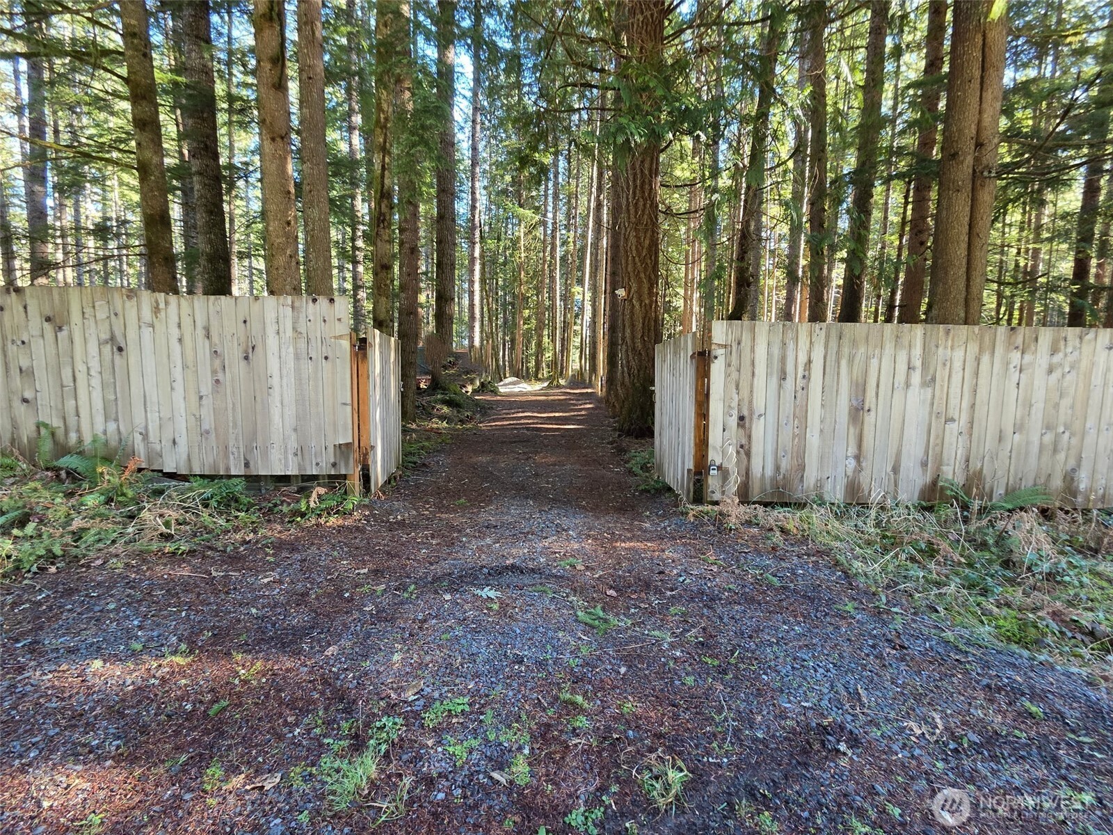 56207 E Kernahan RD , Ashford, WA 98304