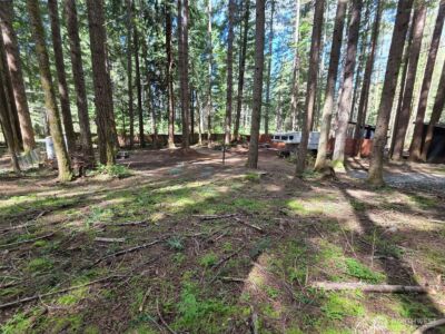 56207 E Kernahan RD , Ashford, WA 98304 - Photo 12