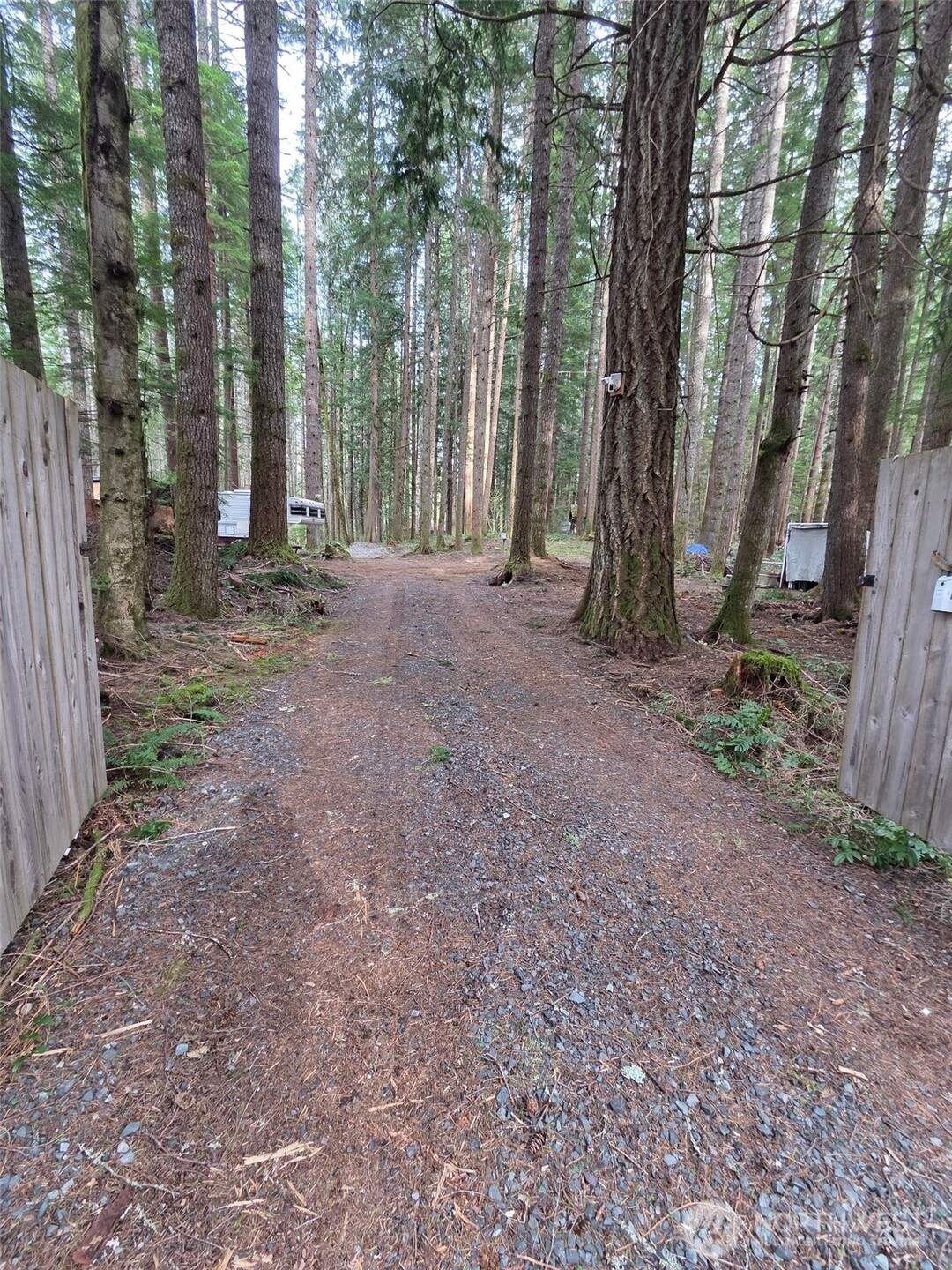 56207 E Kernahan RD , Ashford, WA 98304