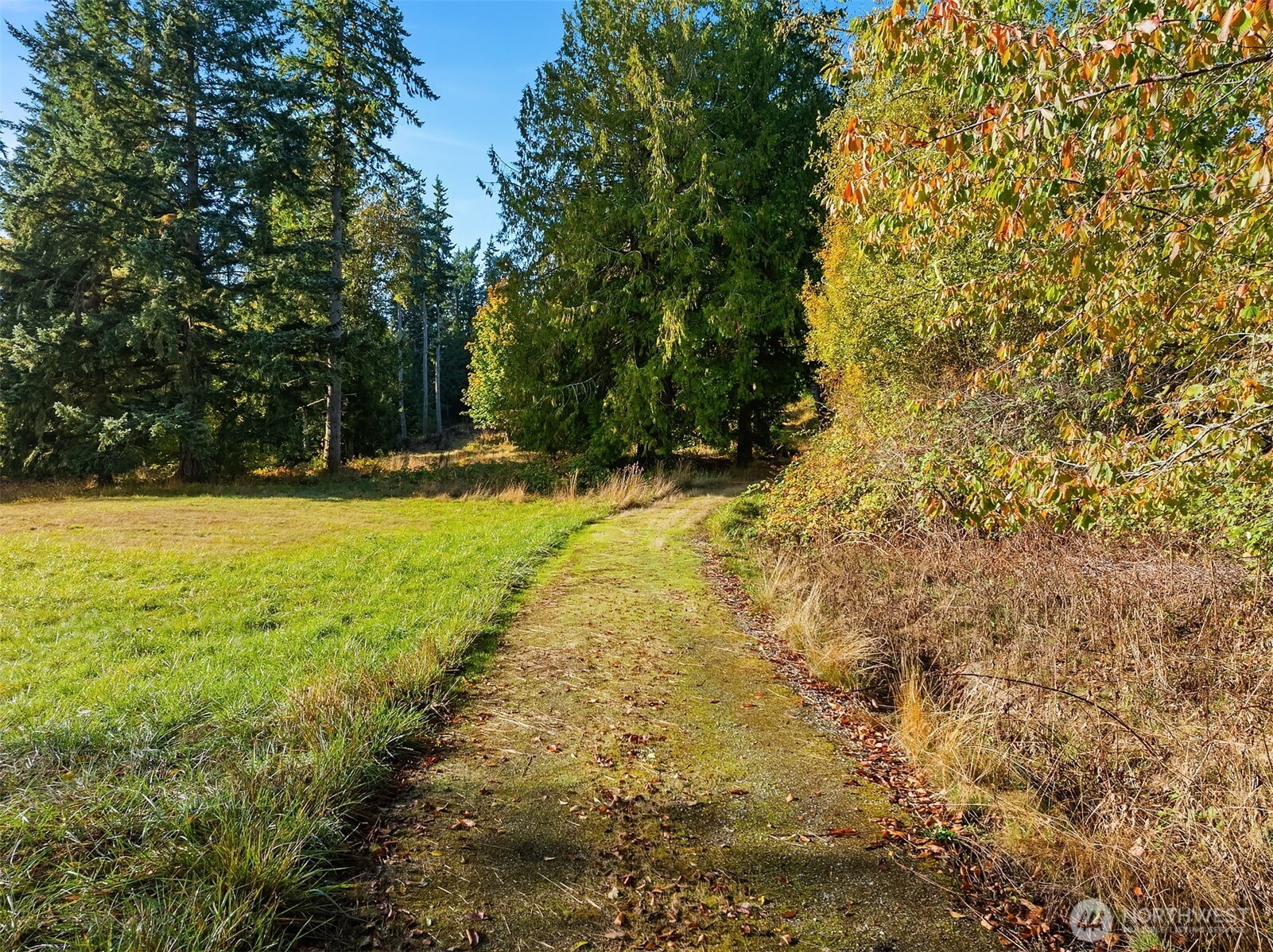 0 Sawdust Hill Road NE, Poulsbo, WA 98370