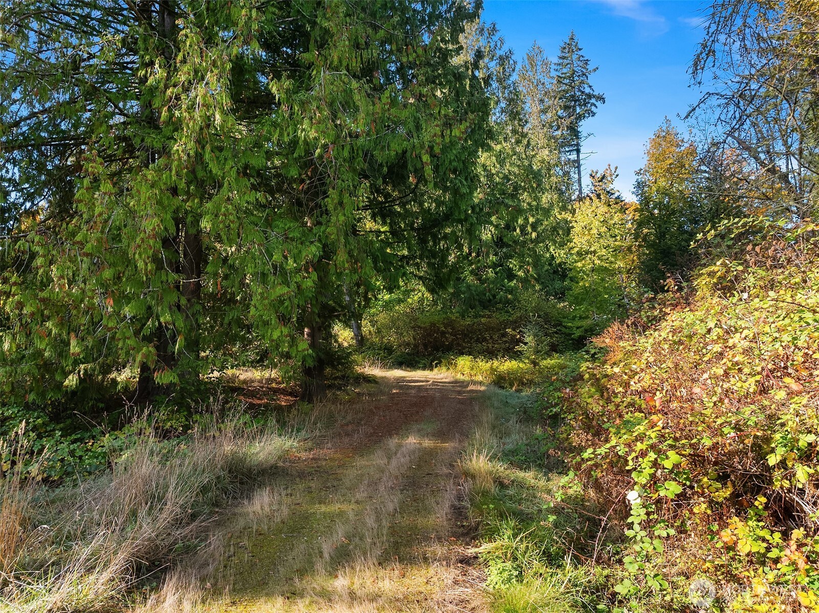 0 Sawdust Hill Road NE, Poulsbo, WA 98370