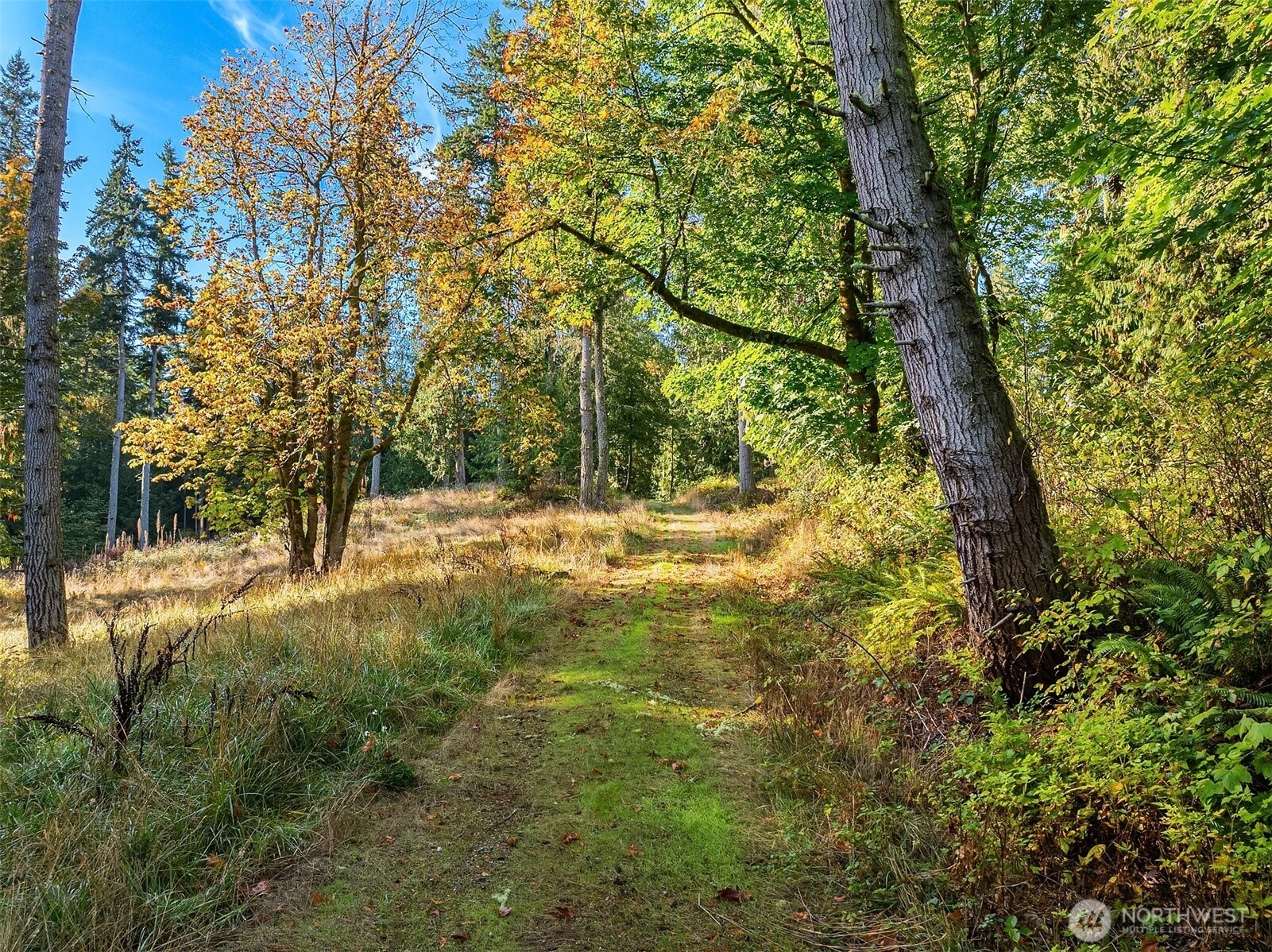 0 Sawdust Hill Road NE, Poulsbo, WA 98370