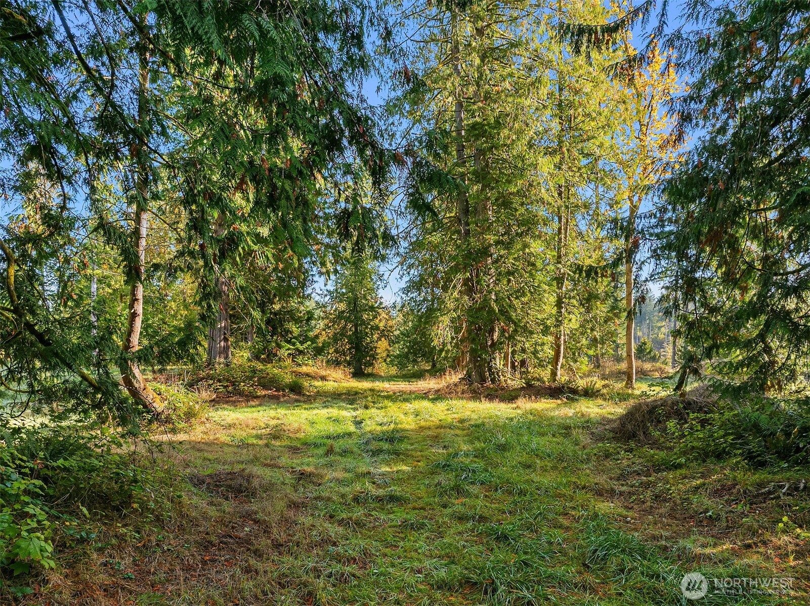 0 Sawdust Hill Road NE, Poulsbo, WA 98370