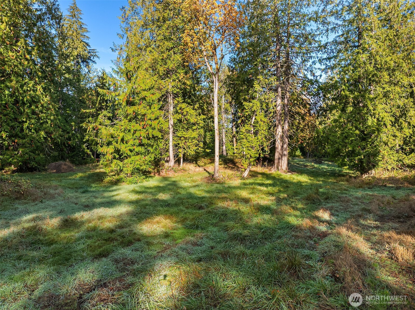 0 Sawdust Hill Road NE, Poulsbo, WA 98370