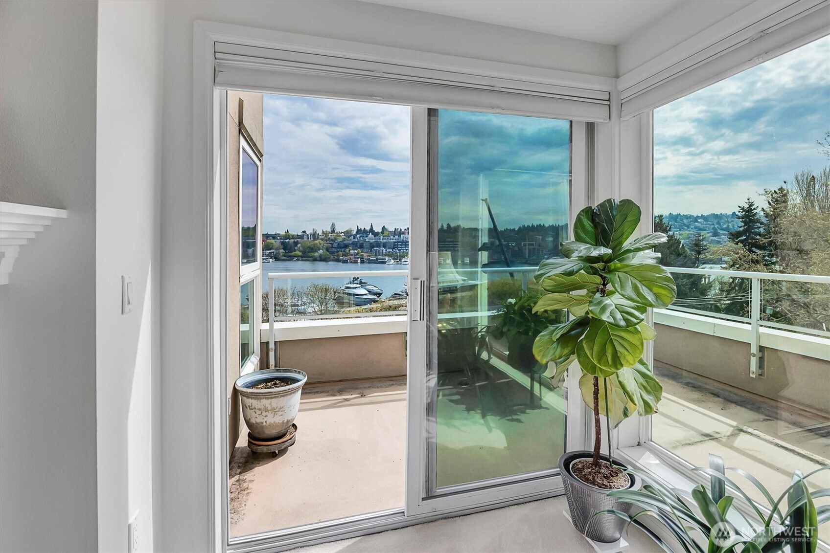 3300 Meridian Avenue N #409, Seattle, WA 98103-9155