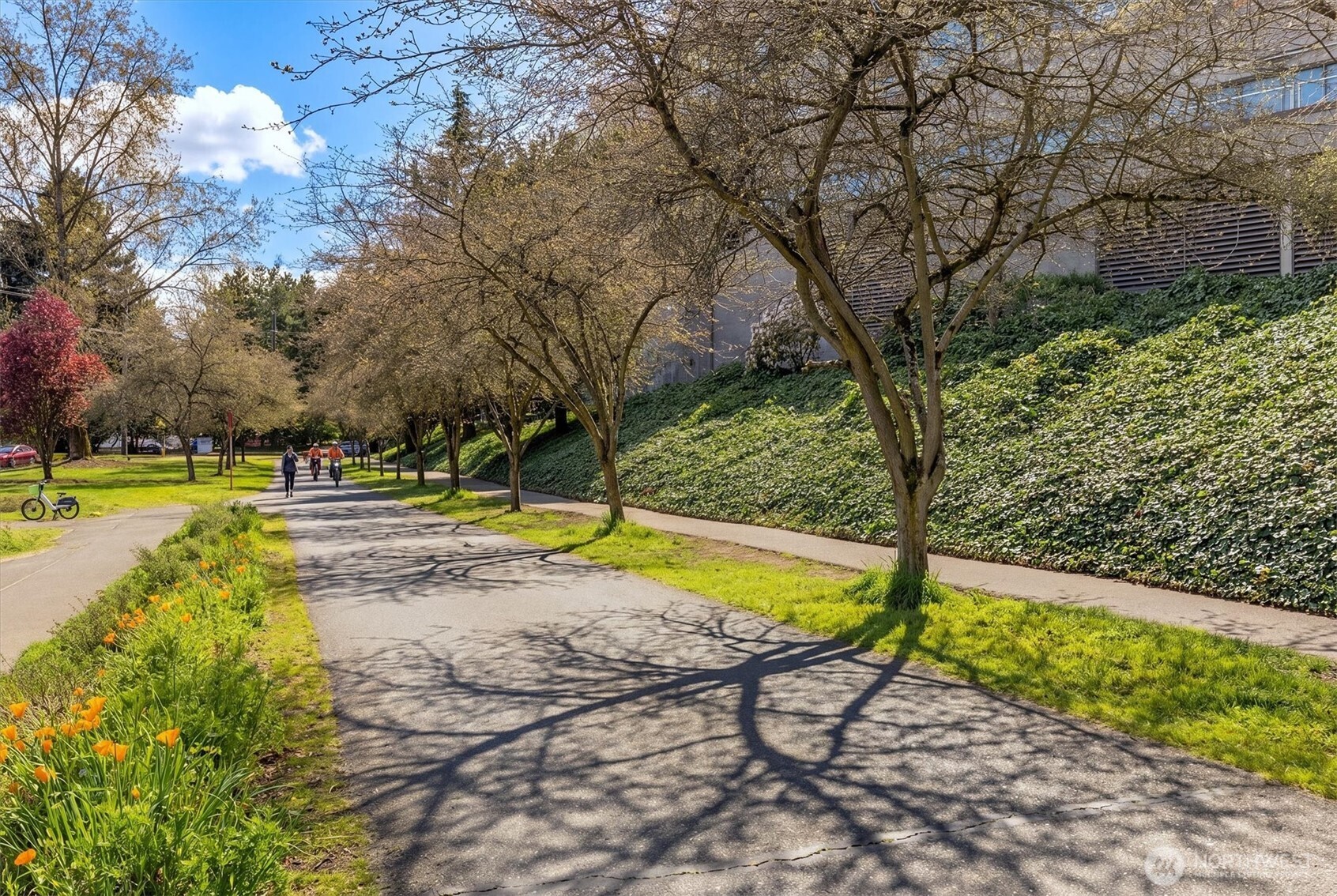 3300 Meridian Avenue N #409, Seattle, WA 98103-9155