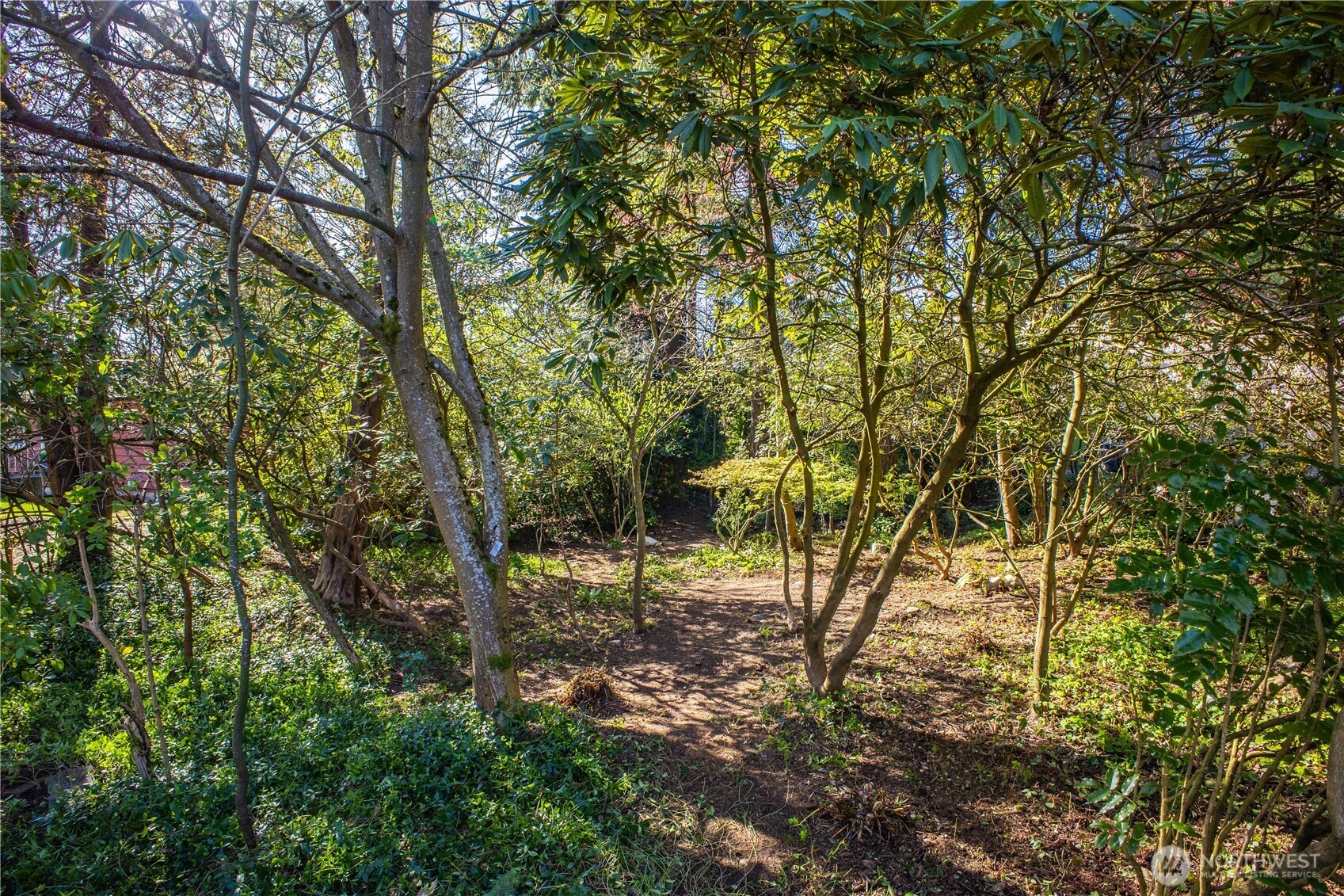 1 XX NE 135th Street , Seattle, WA 98125