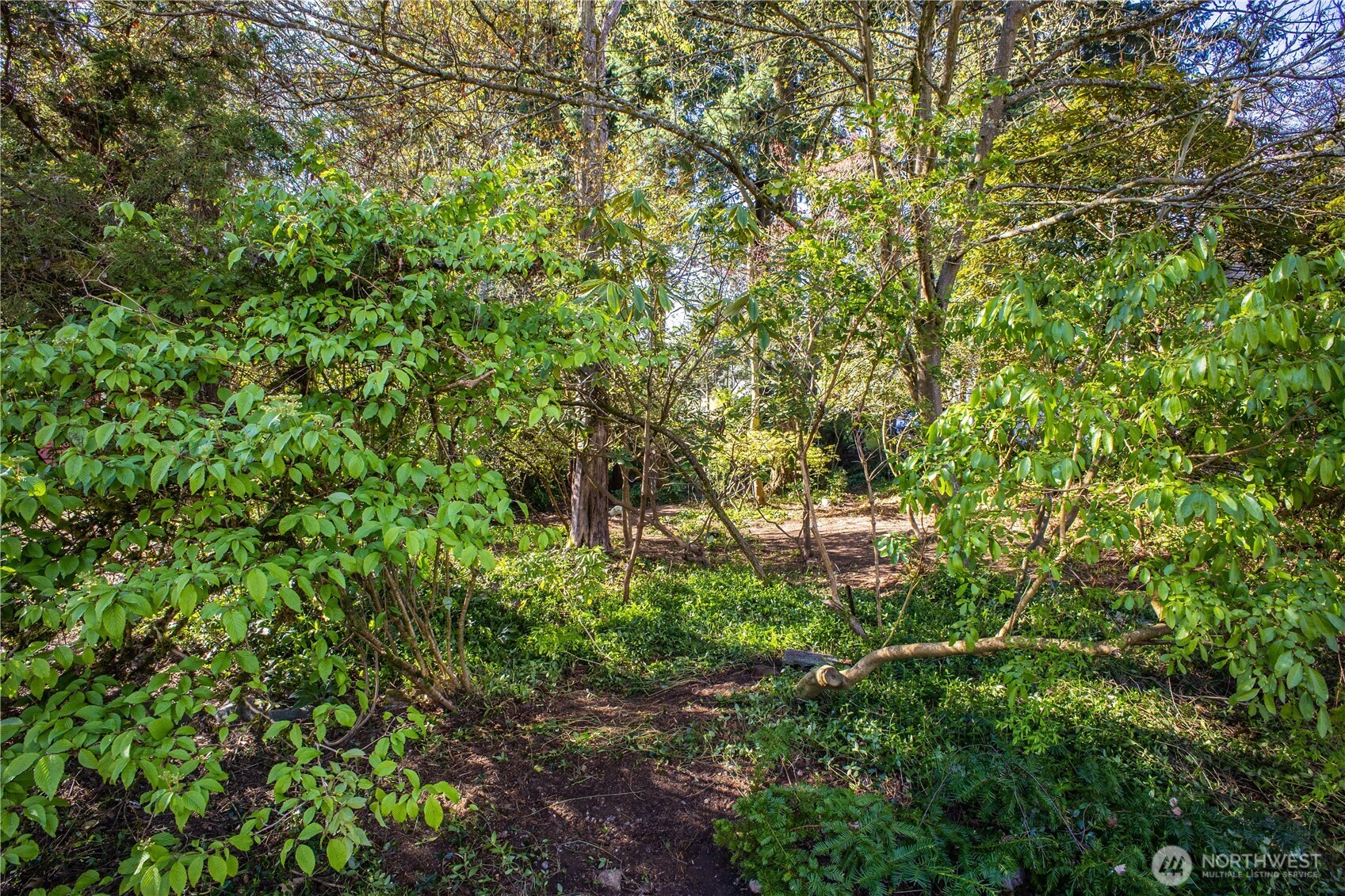 1 XX NE 135th Street , Seattle, WA 98125