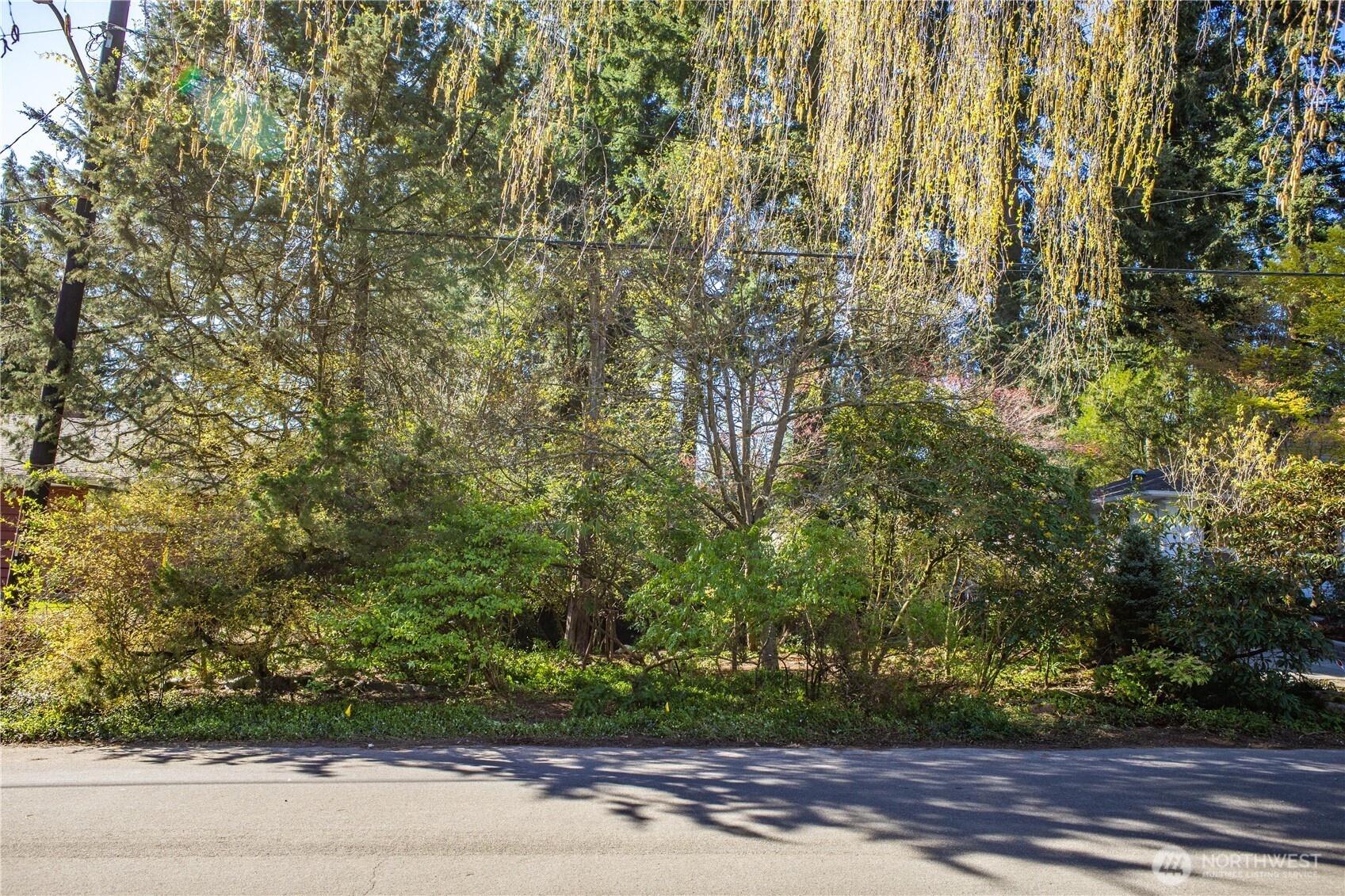 1 XX NE 135th Street , Seattle, WA 98125
