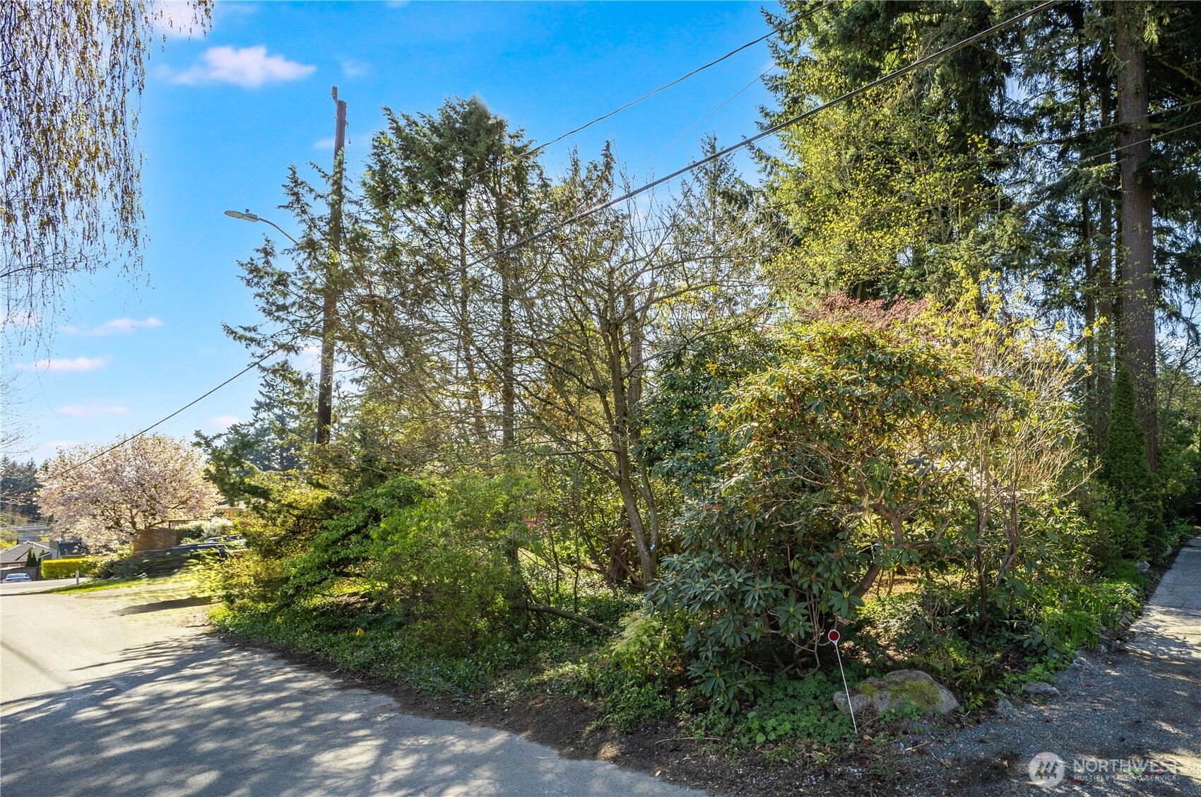 1 XX NE 135th Street , Seattle, WA 98125