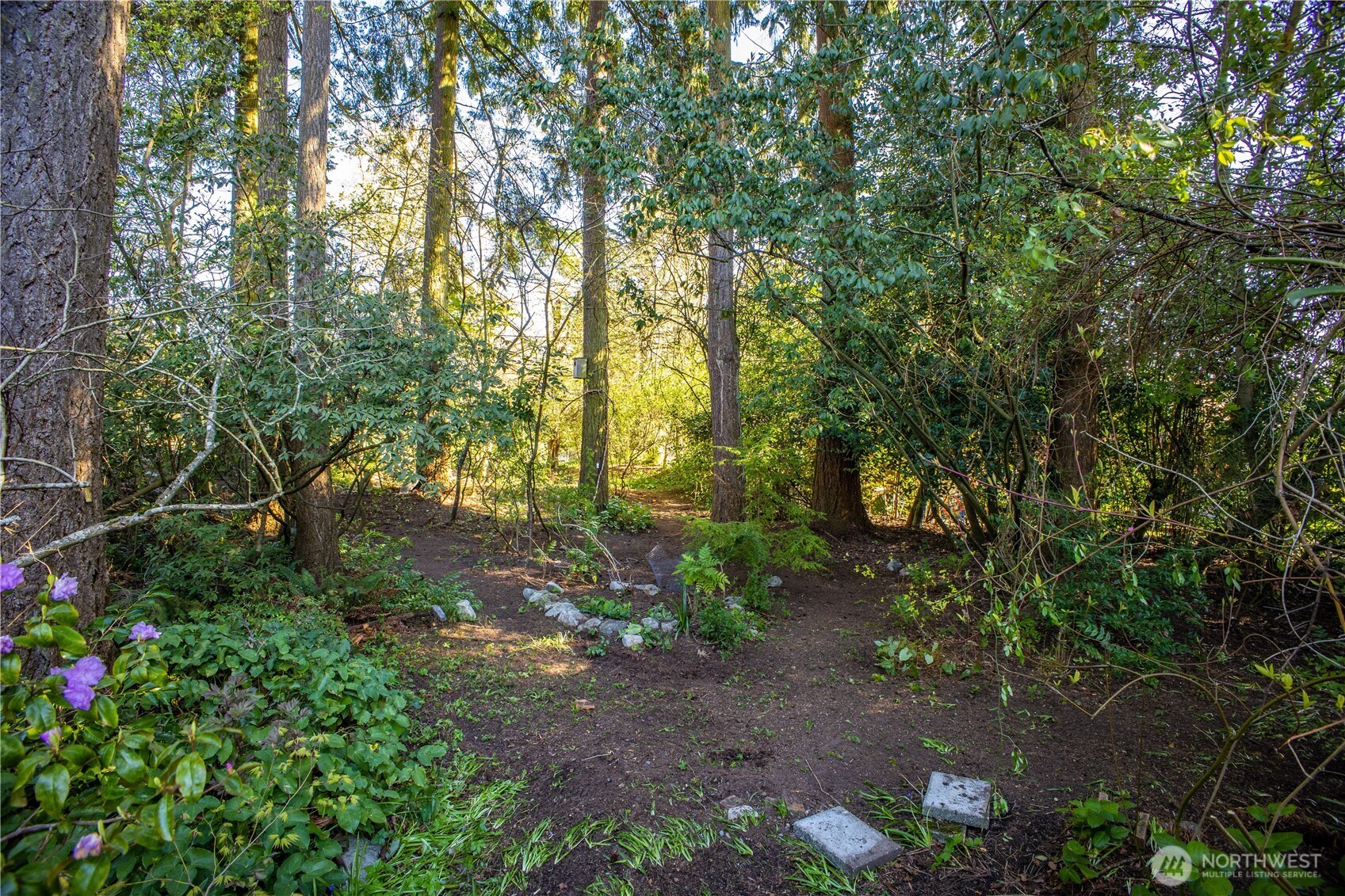 1 XX NE 135th Street , Seattle, WA 98125