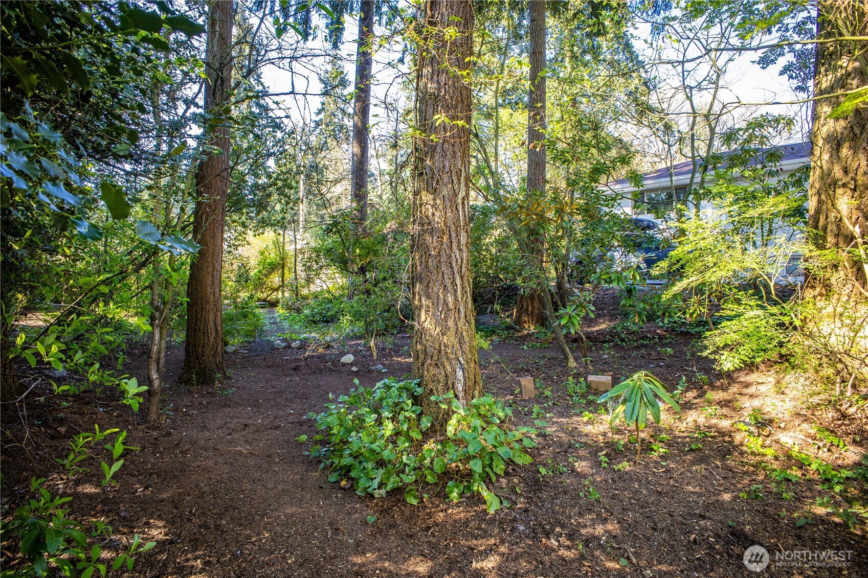 1 XX NE 135th Street , Seattle, WA 98125