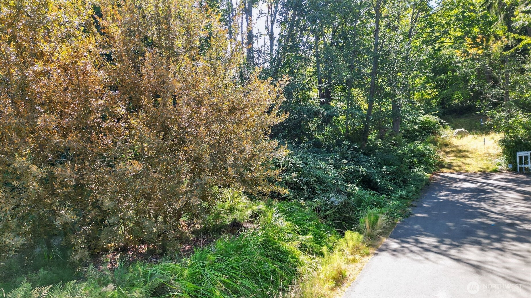 9 XX Webster Street , Mukilteo, WA 98275