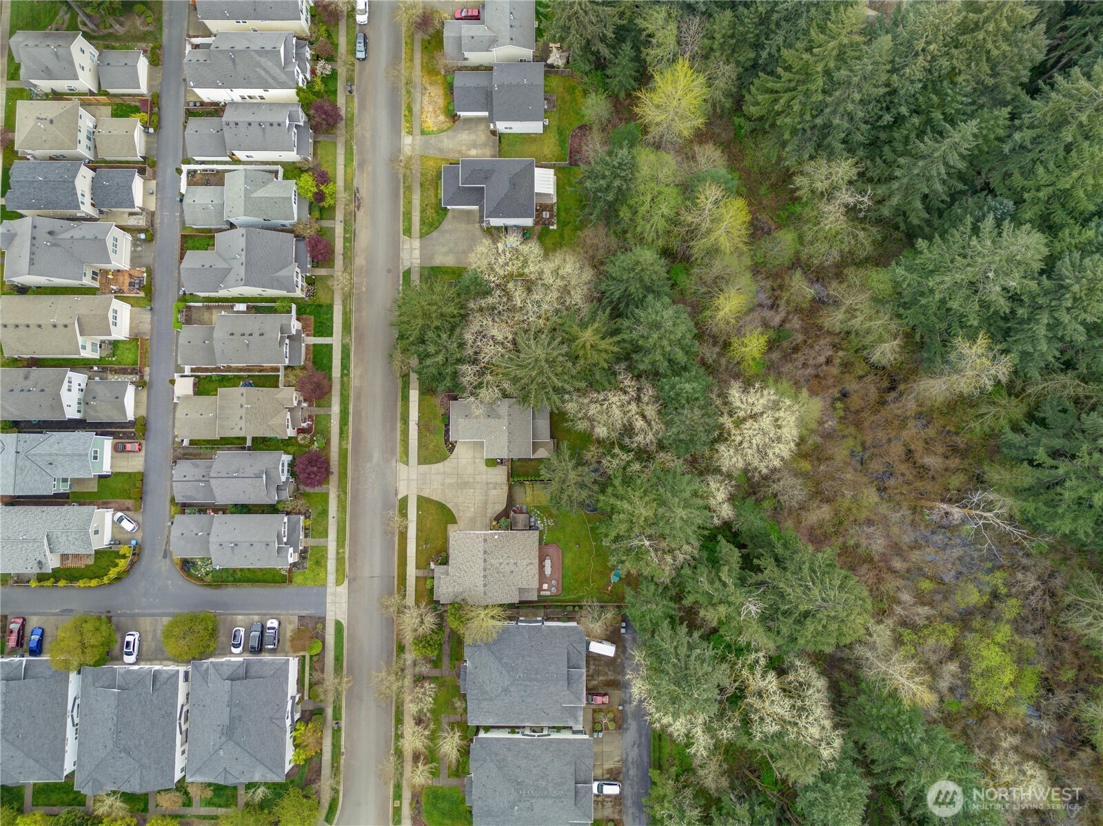 1175 Griggs Street , Dupont, WA 98327