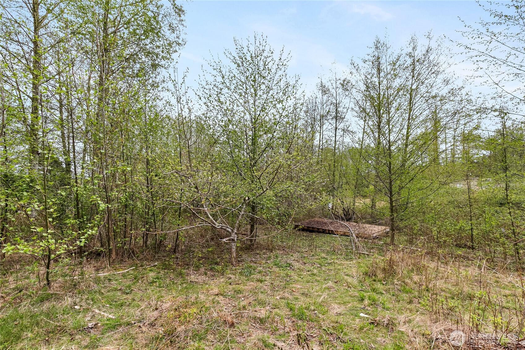 6557 Malloy Road , Ferndale, WA 98248