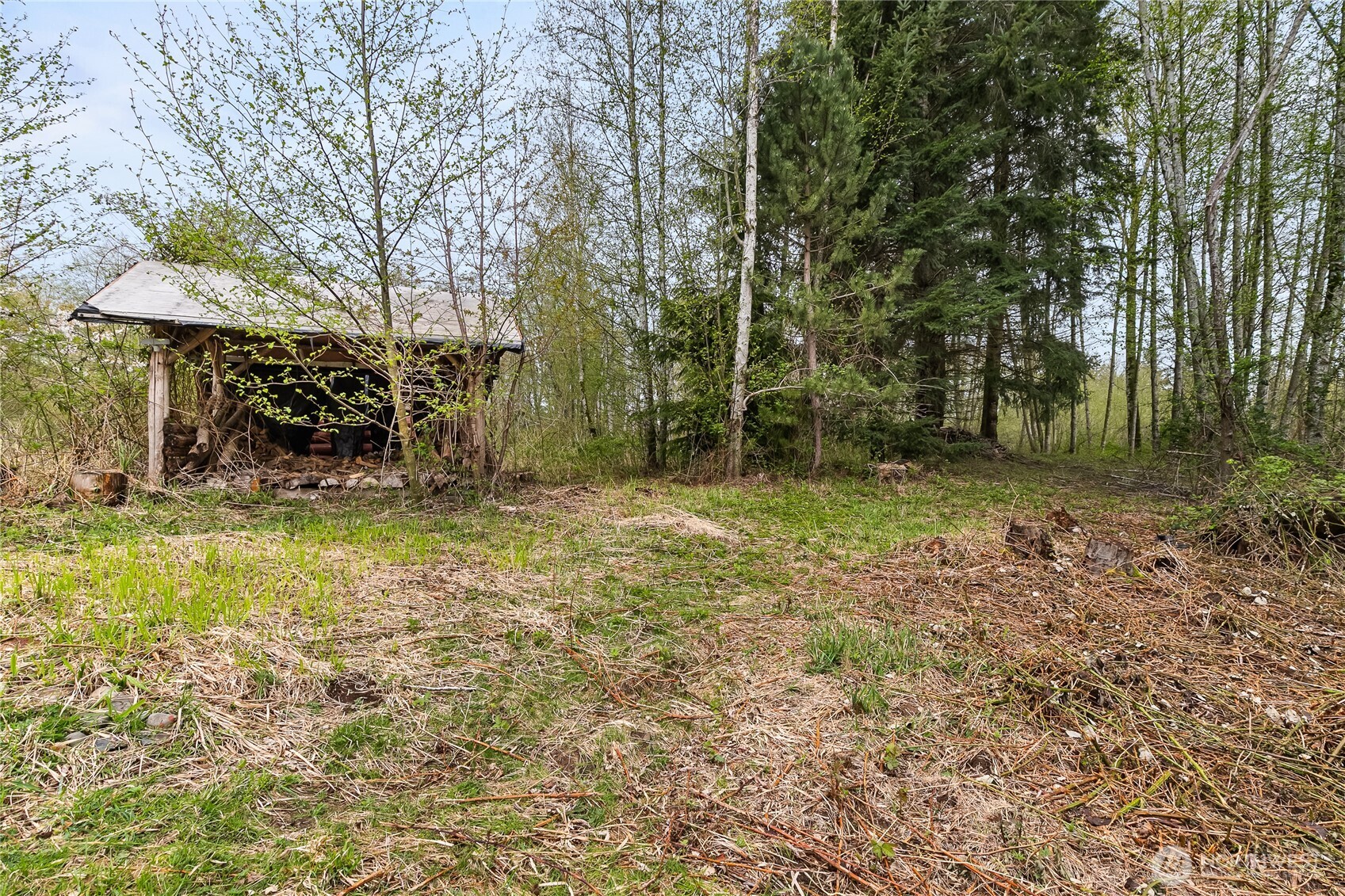 6557 Malloy Road , Ferndale, WA 98248