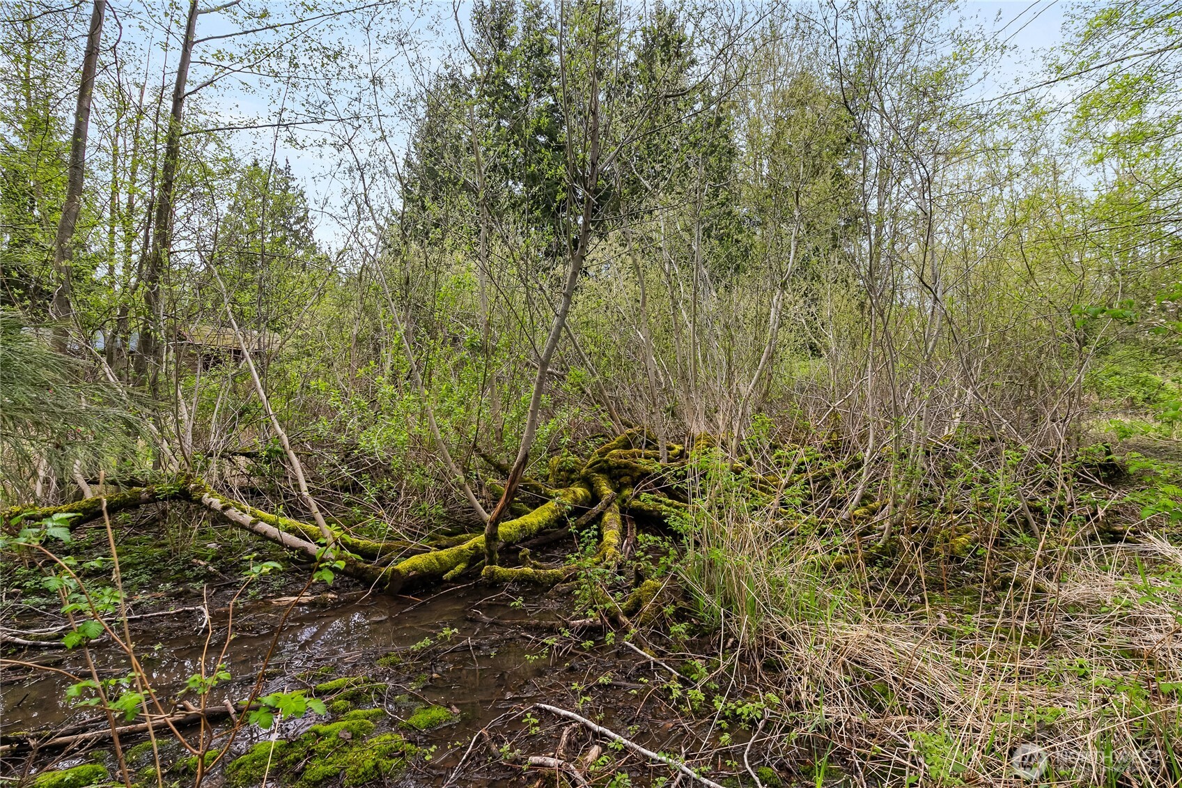6557 Malloy Road , Ferndale, WA 98248