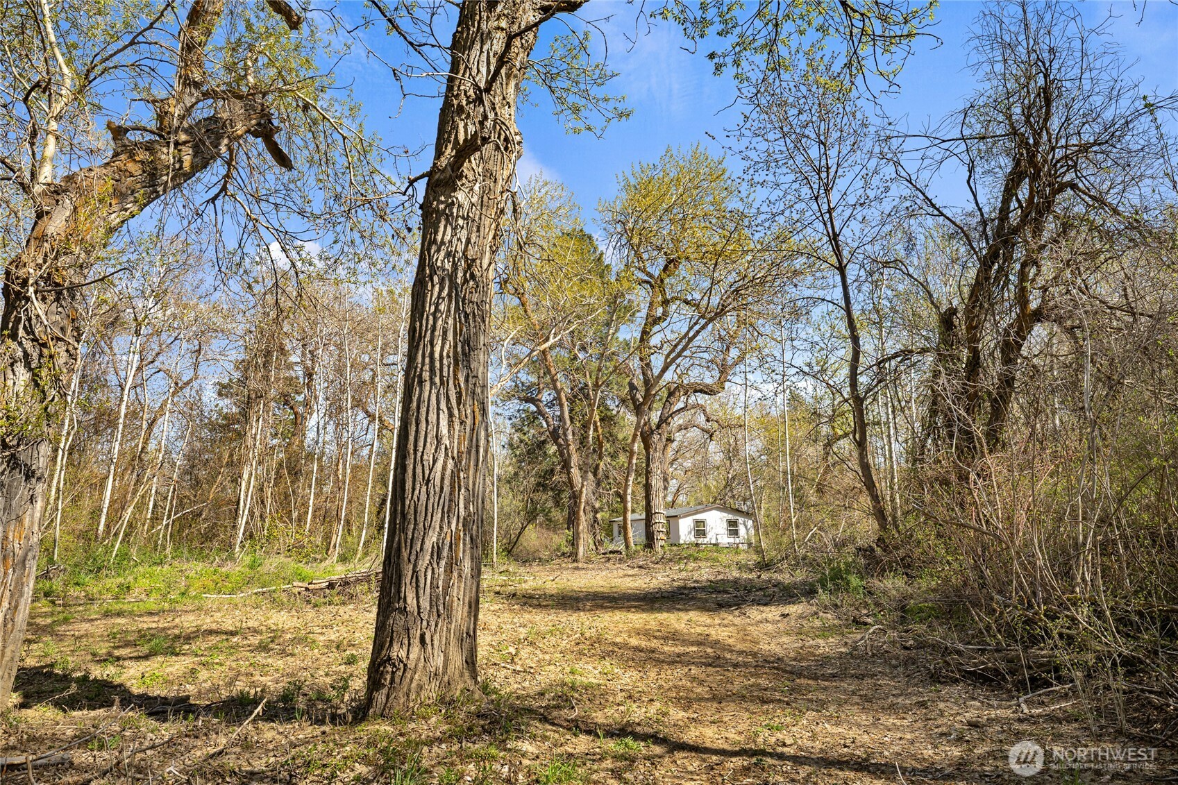421 Cottonwood Road , Thorp, WA 98946
