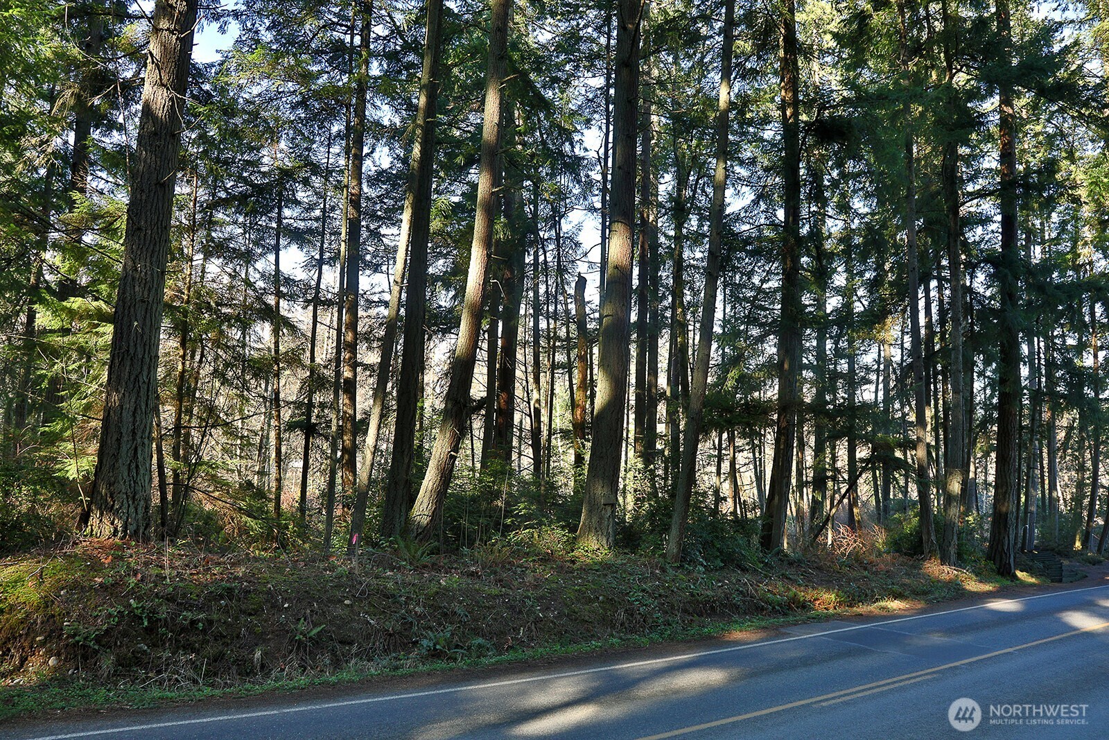 6880 Holst Road , Clinton, WA 98236