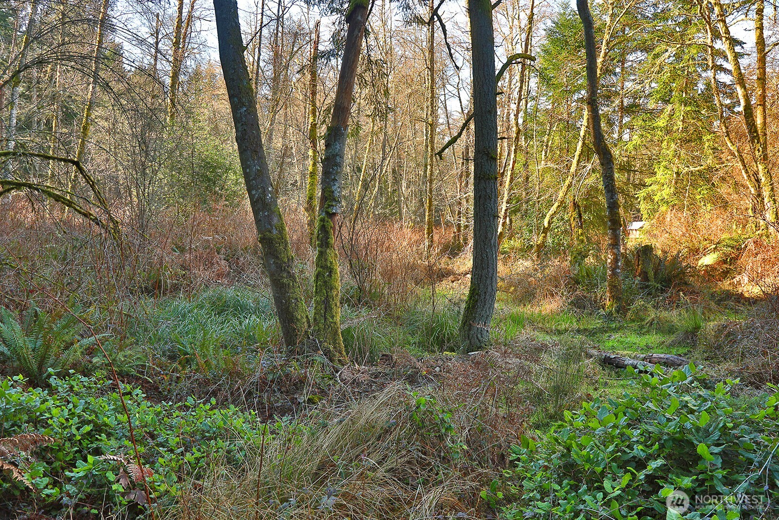 6880 Holst Road , Clinton, WA 98236
