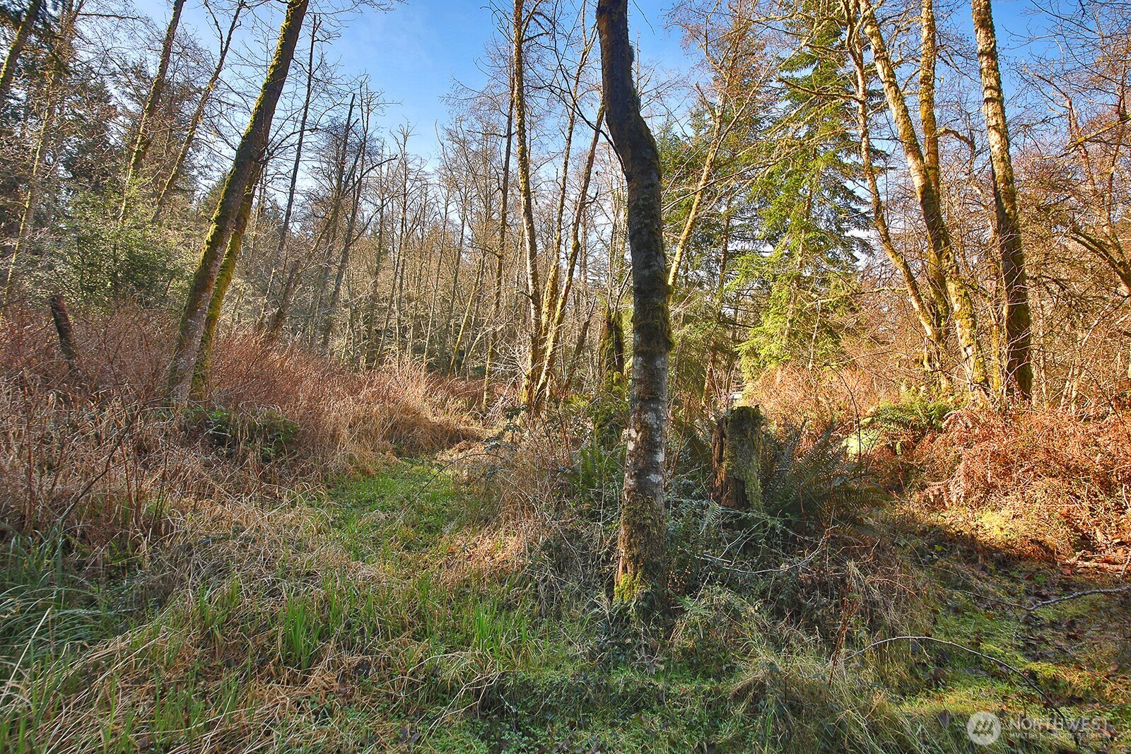 6880 Holst Road , Clinton, WA 98236