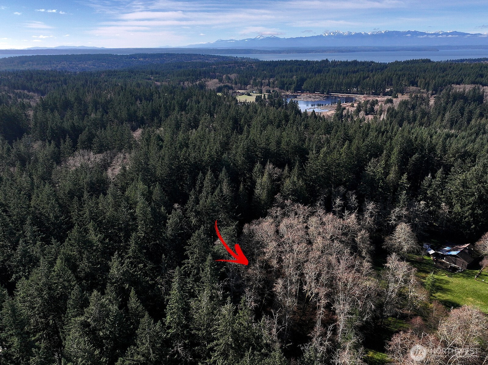 6880 Holst Road , Clinton, WA 98236
